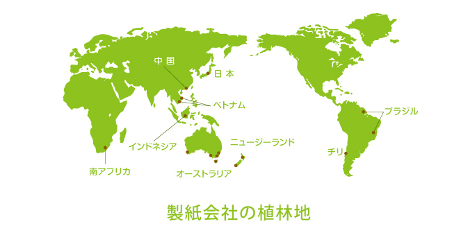 製紙会社の植林地