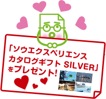 u\EGNXyGXJ^OMtg SILVERvv[g!