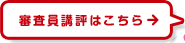 Ru]͂