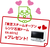  uŃX`[I[u WΗqh[ ER-SD70v v[g! 
