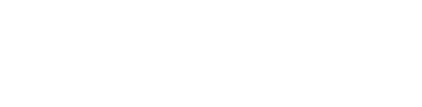 ̋CAɏē`悤 u^[ReXg 2024