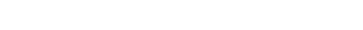 ̑̍i͂